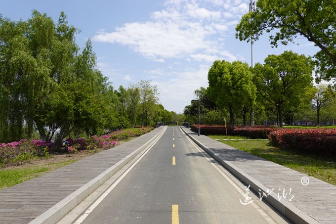 阳澄湖畔四月天-自行车道慢生活