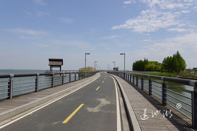 阳澄湖畔四月天-自行车道慢生活