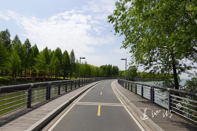 阳澄湖畔四月天-自行车道慢生活