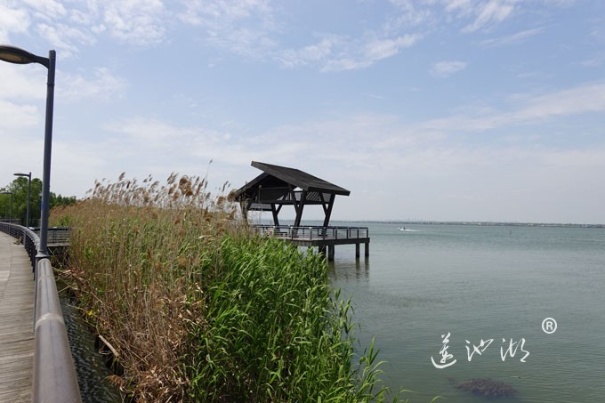 阳澄湖畔四月天-自行车道慢生活