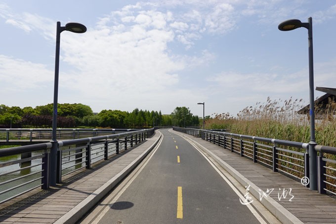 阳澄湖畔四月天-自行车道慢生活