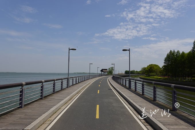 阳澄湖畔四月天-自行车道慢生活