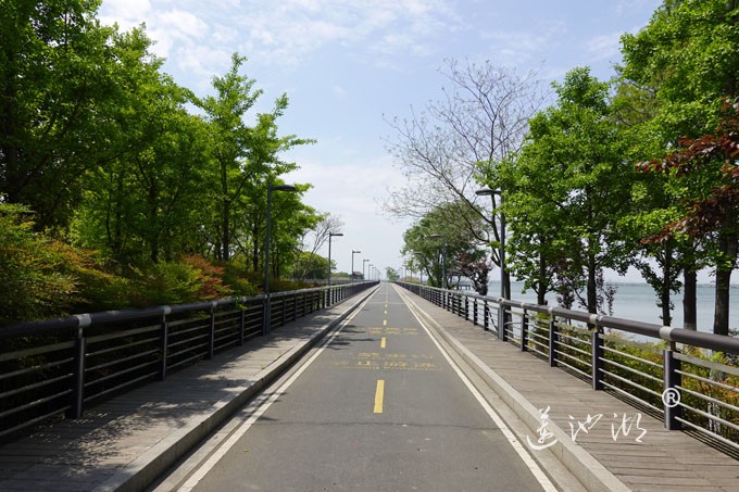 阳澄湖畔四月天-自行车道慢生活