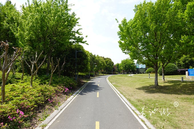 阳澄湖畔四月天-自行车道慢生活