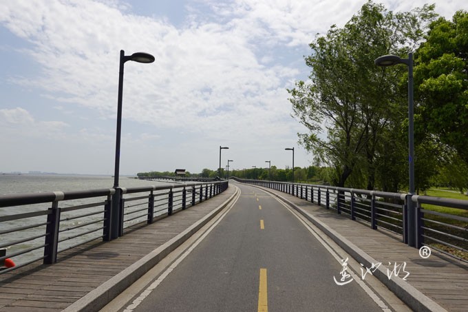 阳澄湖畔四月天-自行车道慢生活