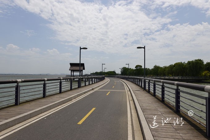 阳澄湖畔四月天-自行车道慢生活