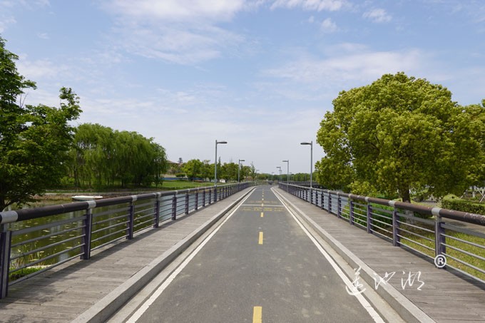 阳澄湖畔四月天-自行车道慢生活