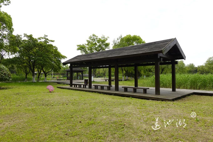 阳澄湖畔四月天-莲池湖转鱼墩