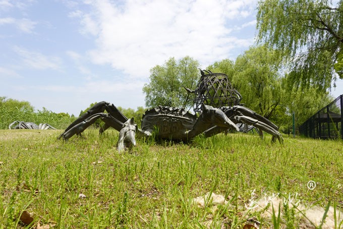 阳澄湖畔四月天-莲池湖转鱼墩