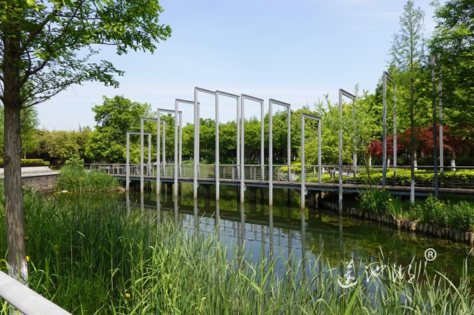 阳澄湖畔四月天-正仪生态湿地