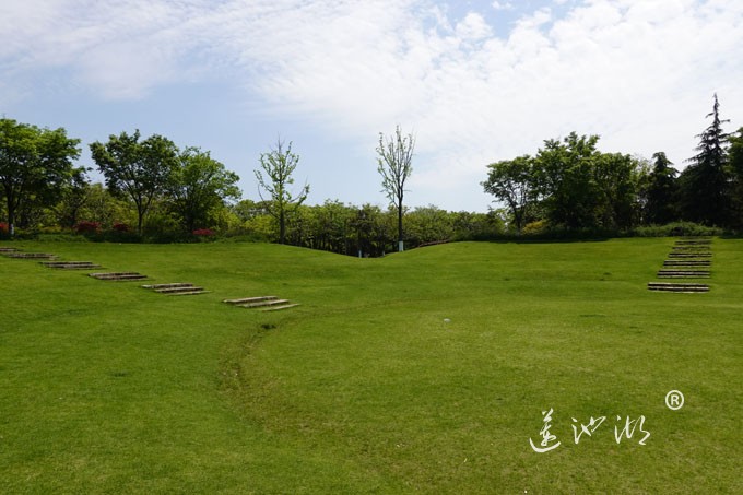 阳澄湖畔四月天-正仪生态湿地