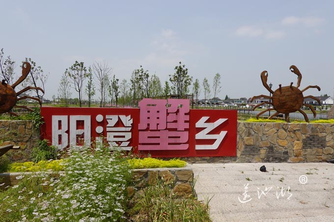 阳澄湖畔-消泾村