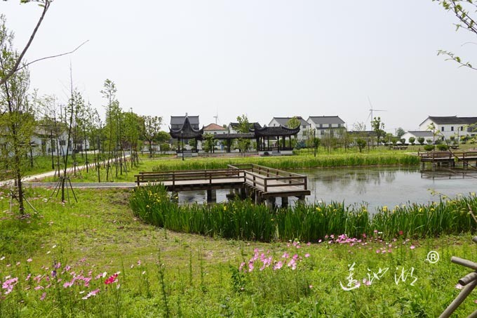 阳澄湖畔-消泾村