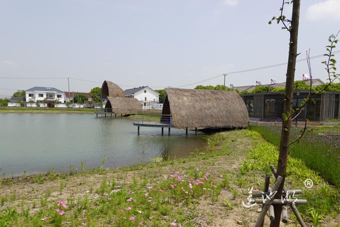 阳澄湖畔-消泾村