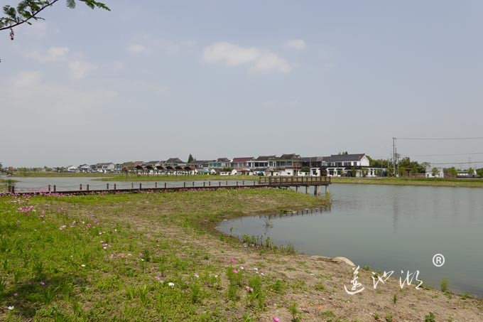 阳澄湖畔-消泾村