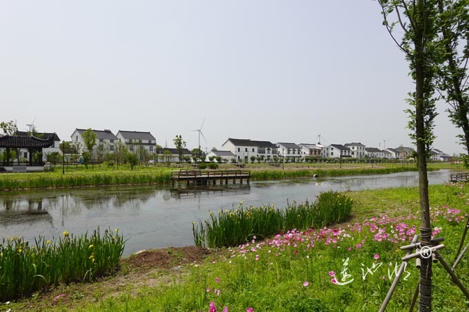阳澄湖畔-消泾村
