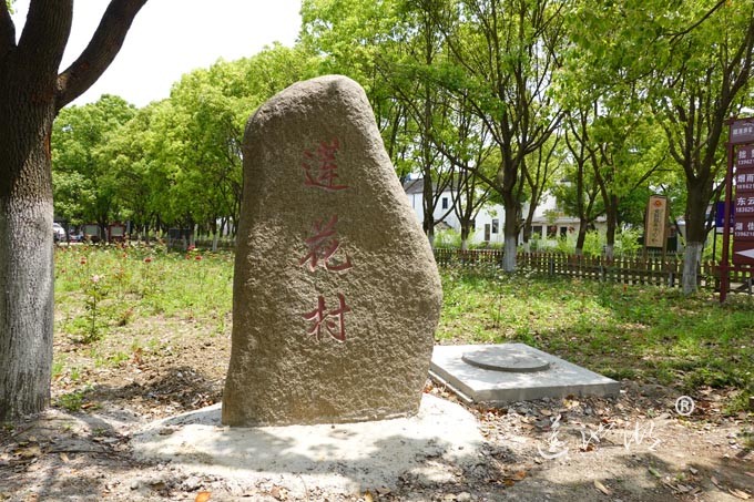 阳澄湖畔-莲花岛