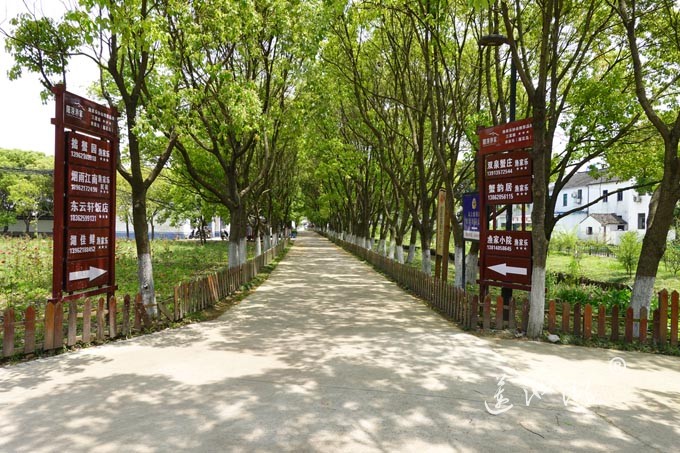 阳澄湖畔-莲花岛