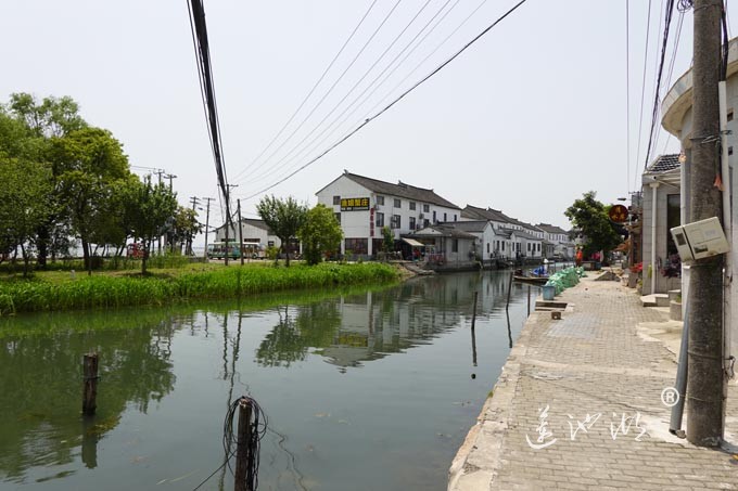 阳澄湖畔-莲花岛