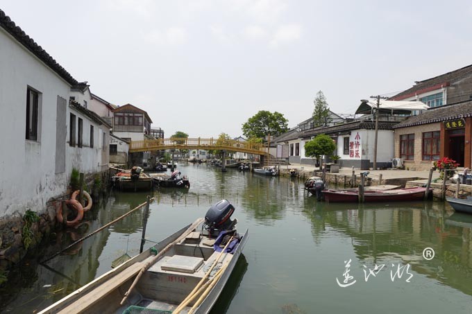 阳澄湖畔-莲花岛