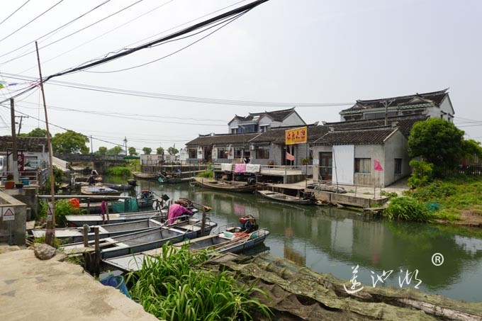 阳澄湖畔-莲花岛