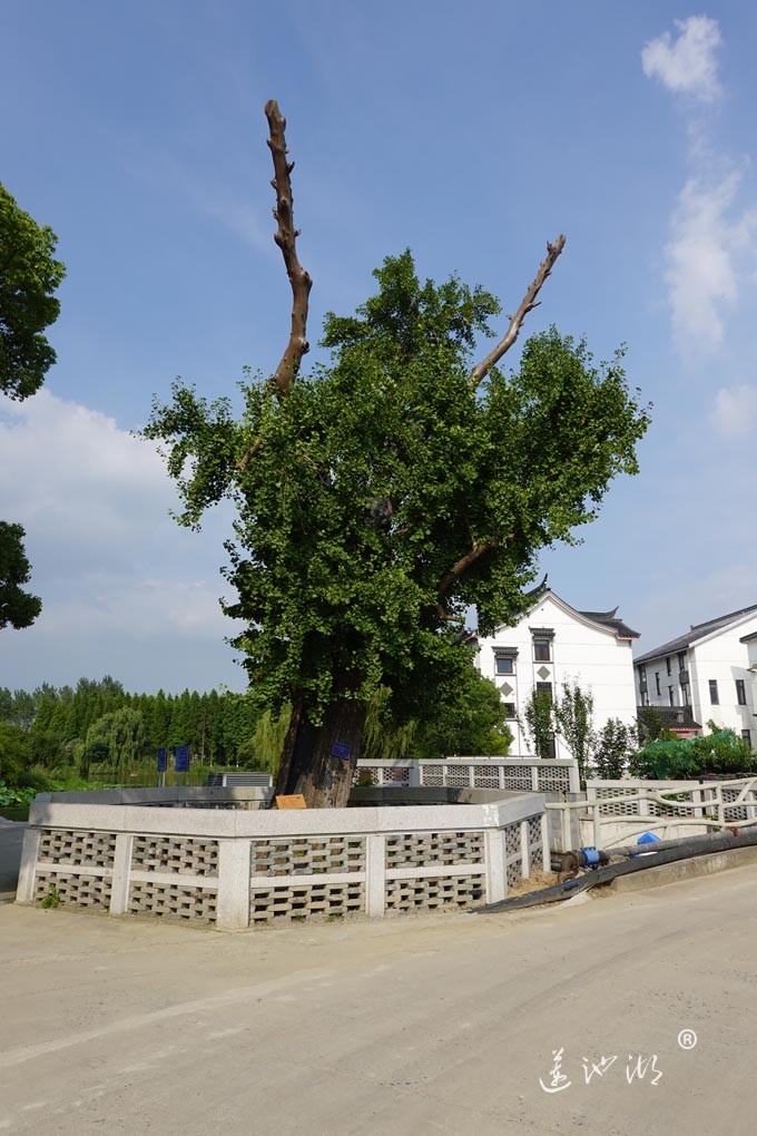 巴城镇有个绰墩山村