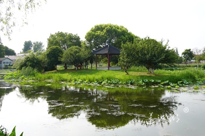 巴城镇有个绰墩山村