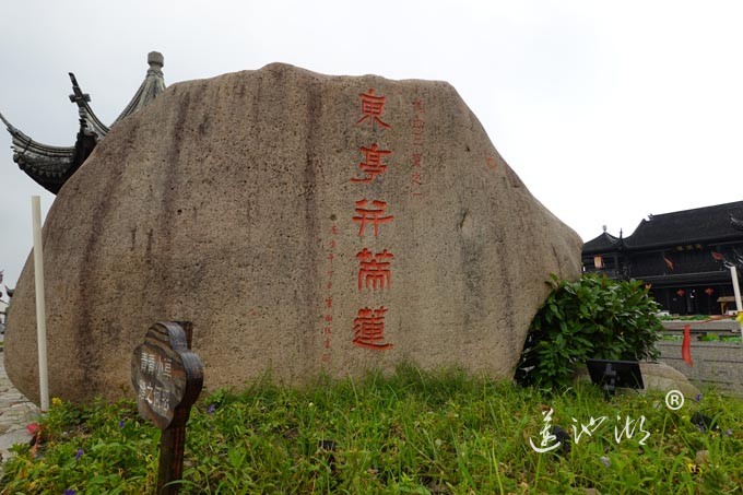 阳澄湖畔并蒂莲开