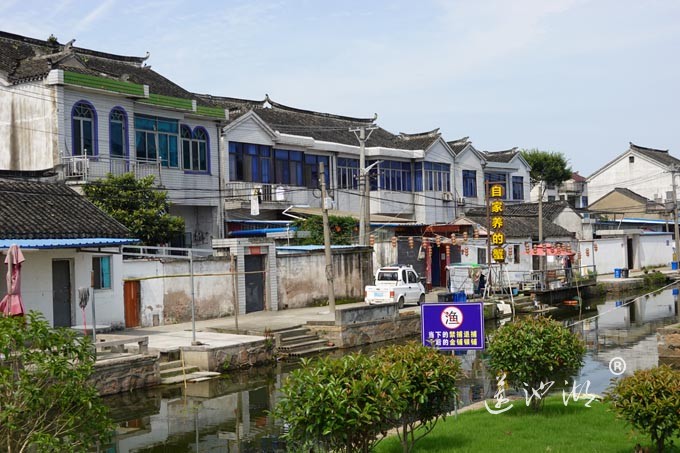 阳澄湖镇洋沟溇村