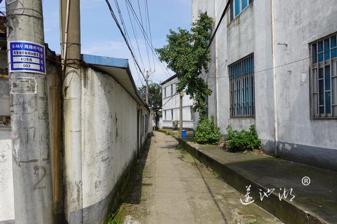 阳澄湖镇洋沟溇村