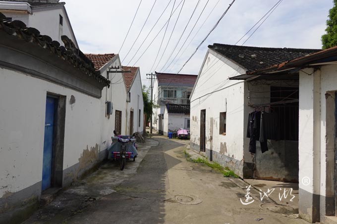 阳澄湖镇洋沟溇村