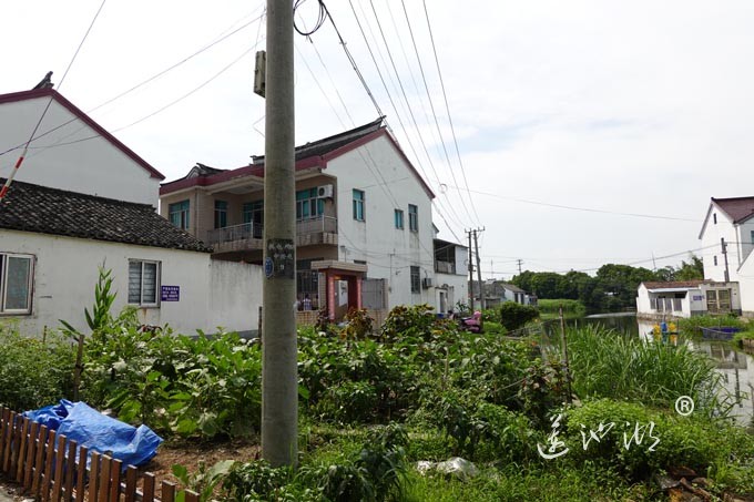 阳澄湖镇洋沟溇村
