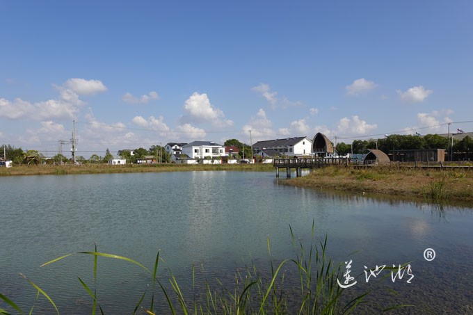 美丽乡村-阳澄湖畔二亩塘