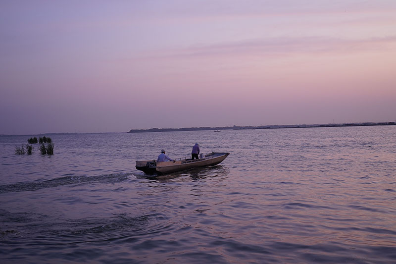 阳澄湖的早晨