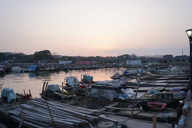 阳澄湖半岛的早晨