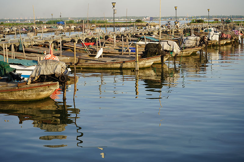 阳澄湖半岛蟹农码头