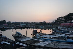 阳澄湖蟹农打桩加固围网实录