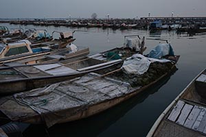 阳澄湖蟹农打桩加固围网实录