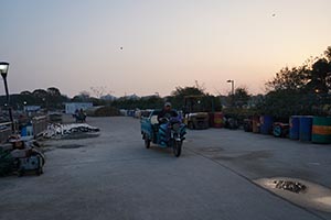 阳澄湖蟹农打桩加固围网实录