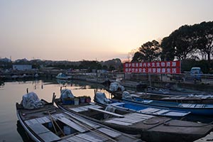 阳澄湖蟹农打桩加固围网实录