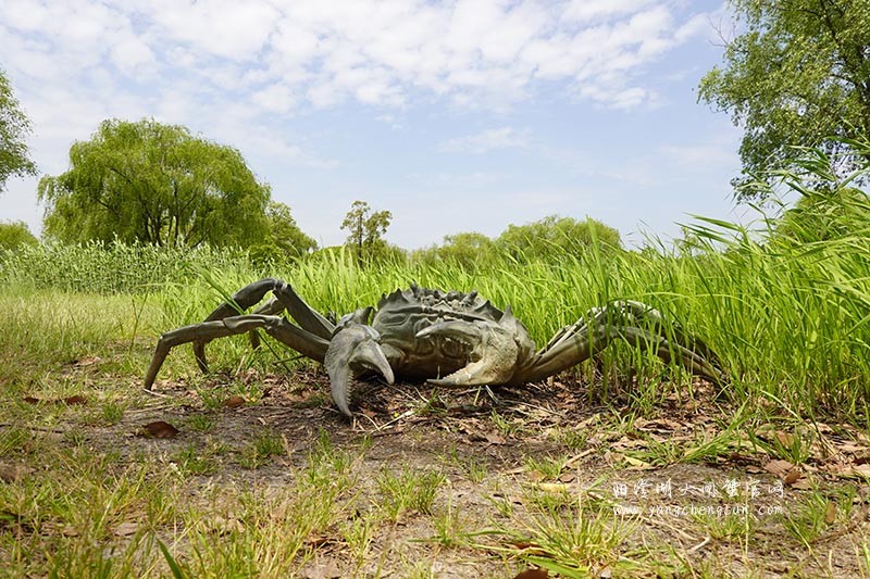 大闸蟹雕塑与自然之美