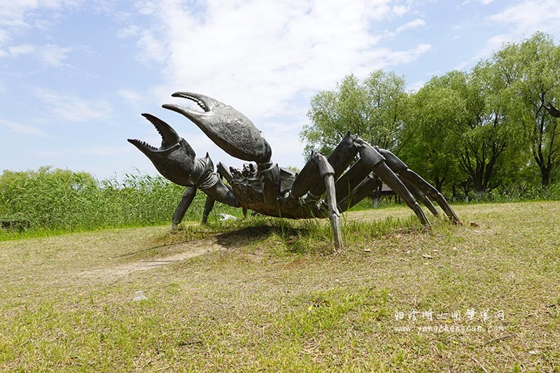 大闸蟹雕塑与自然之美