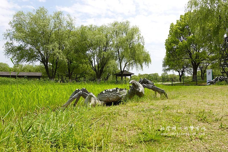 大闸蟹雕塑与自然之美