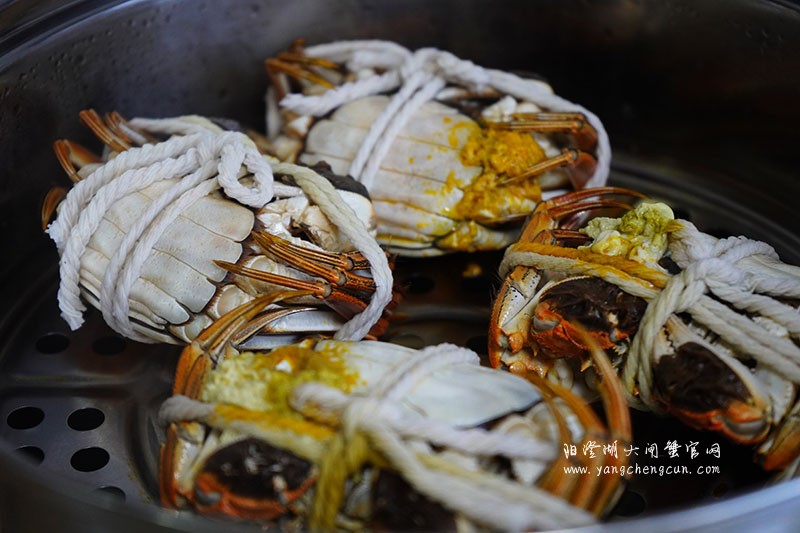 阳澄湖大闸蟹
