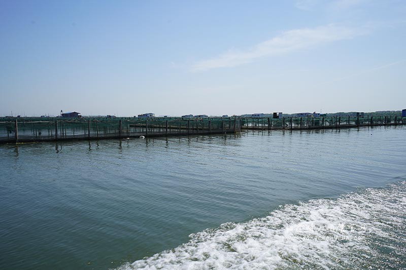 飞驰在阳澄湖上的风景