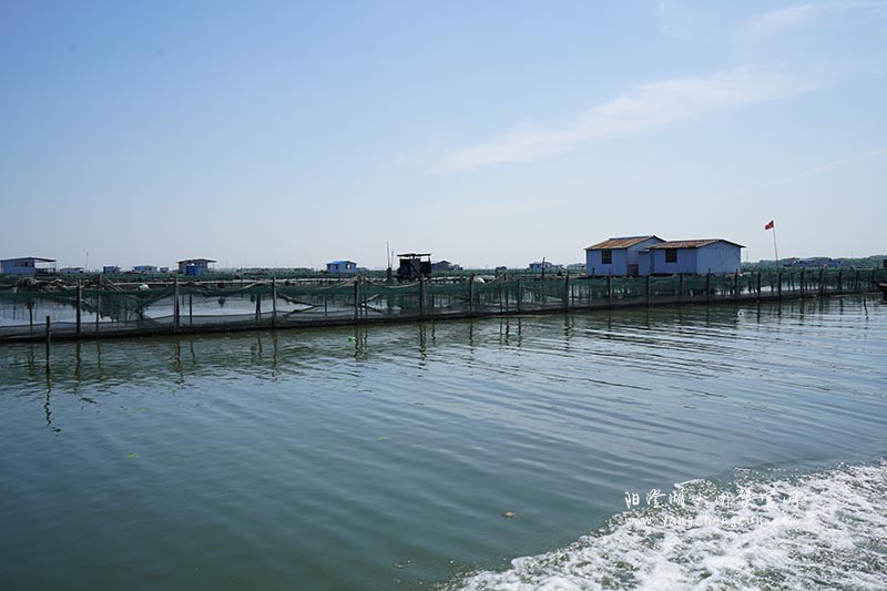 飞驰在阳澄湖上的风景