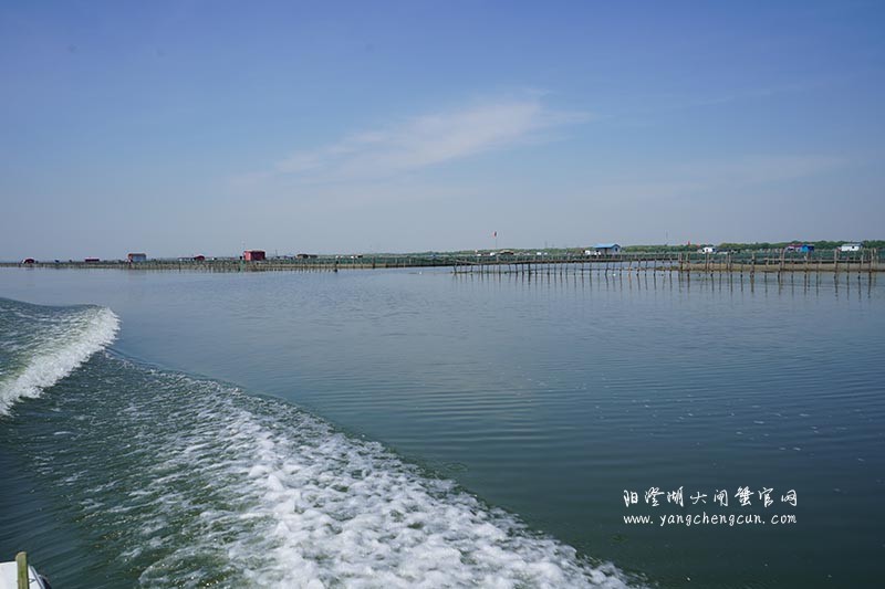 飞驰在阳澄湖上的风景