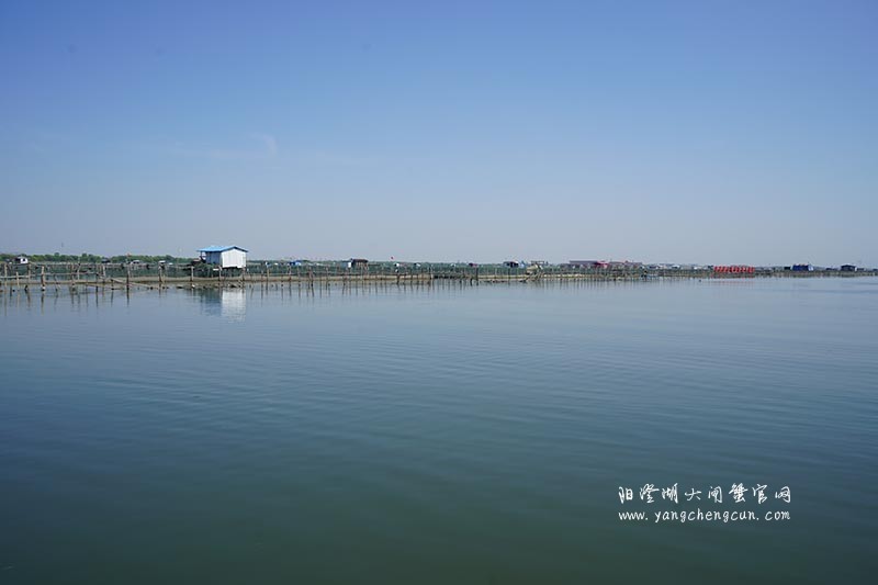 飞驰在阳澄湖上的风景