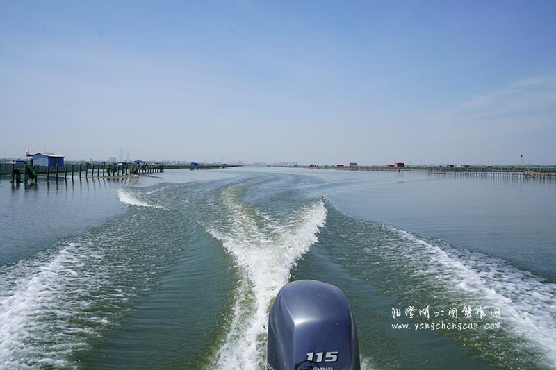 飞驰在阳澄湖上的风景