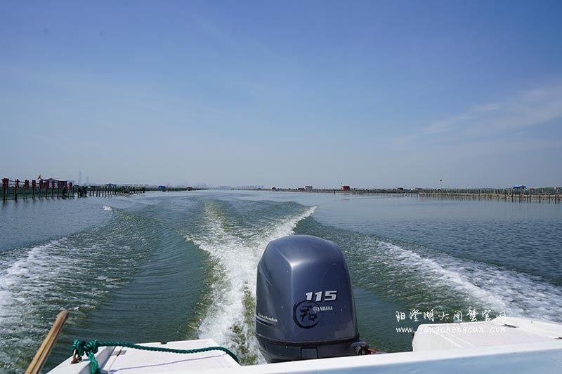 飞驰在阳澄湖上的风景